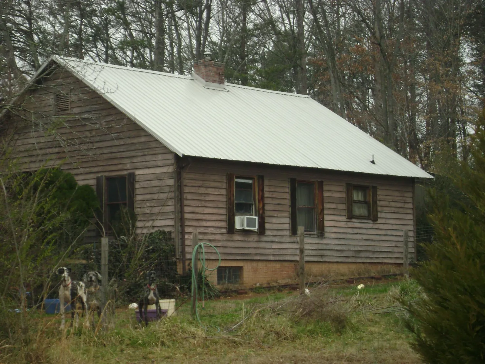 White metal roof on an old wood sided farmhouse in Dunkirk